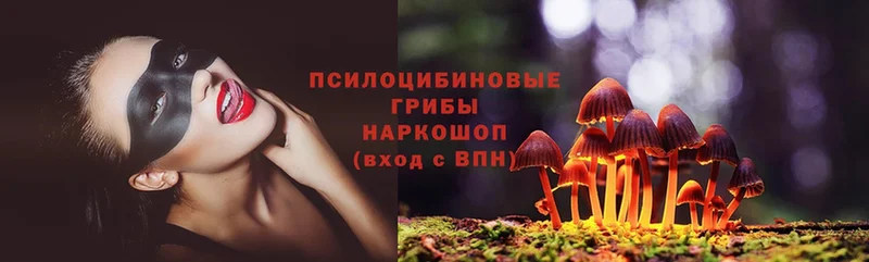 Галлюциногенные грибы Psilocybine cubensis  Тюкалинск 