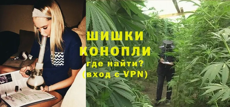 где можно купить   Тюкалинск  Конопля SATIVA & INDICA 